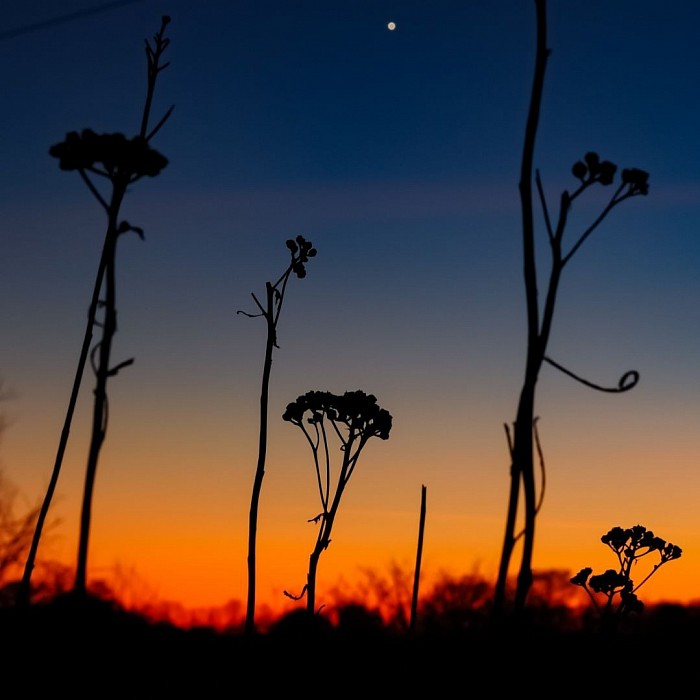 Sonnenuntergang Haltern