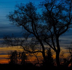 Abendrot haltern