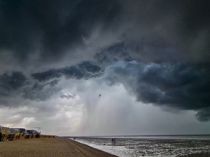 Whales Mouth in Cuxhaven