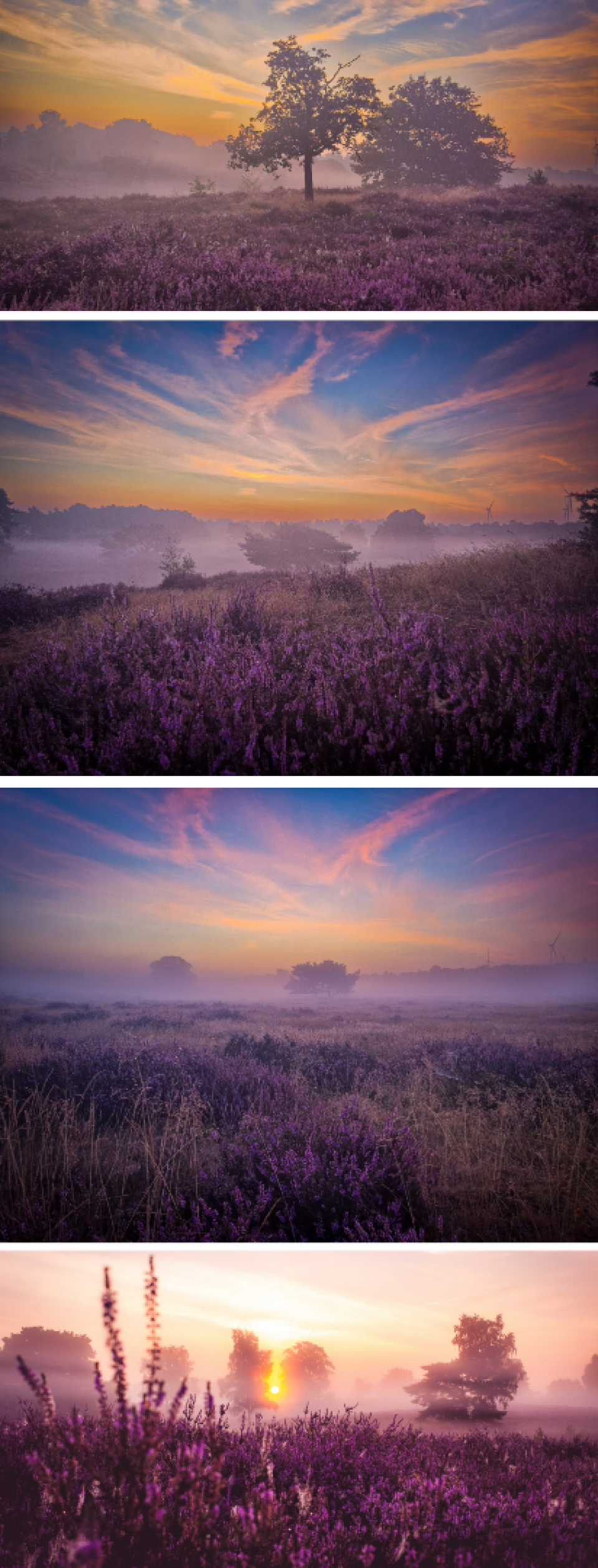 Sonnenuntergang in Haltern am See