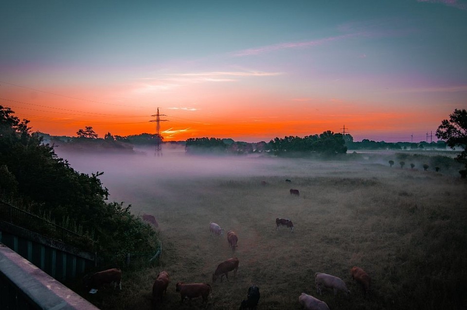 Sonnenuntergang an der Lippe in Haltern